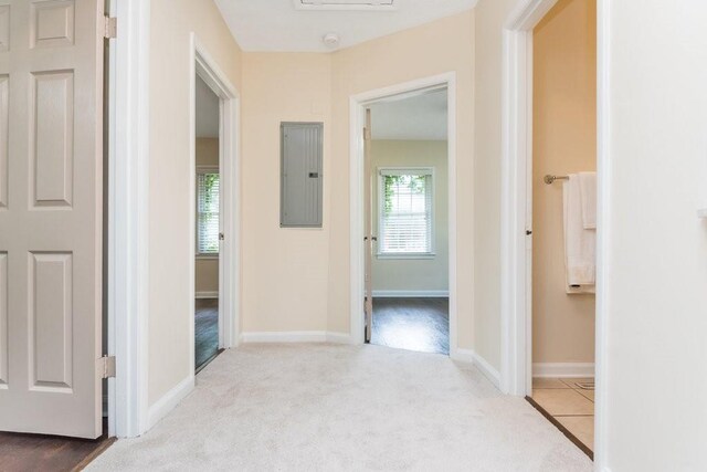 hall featuring electric panel and light colored carpet