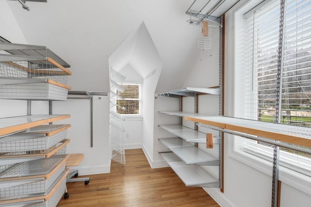 walk in closet featuring wood finished floors