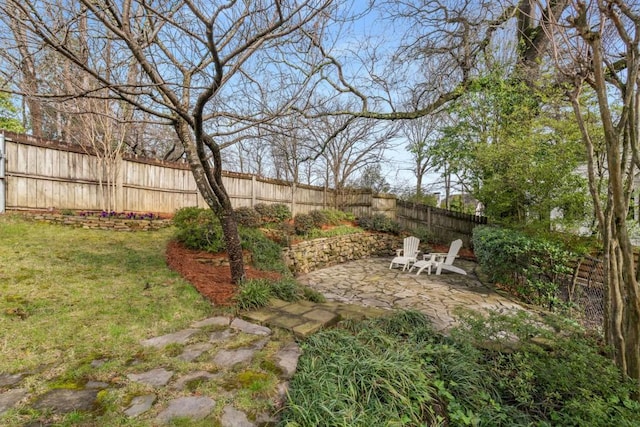 view of yard featuring a patio and a fenced backyard