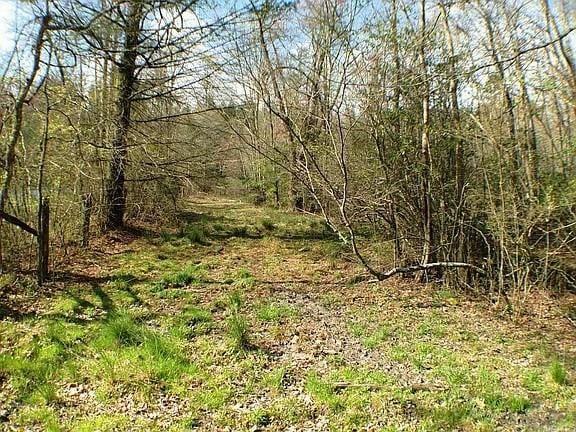 0 Doublehead Gap Rd, Blue Ridge, GA 30513
