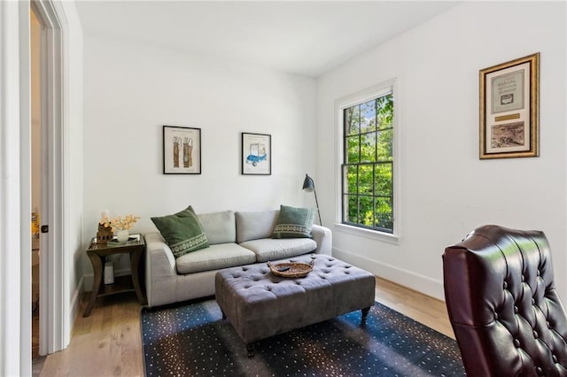 living area with baseboards and wood finished floors