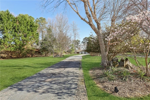 view of street featuring aphalt driveway