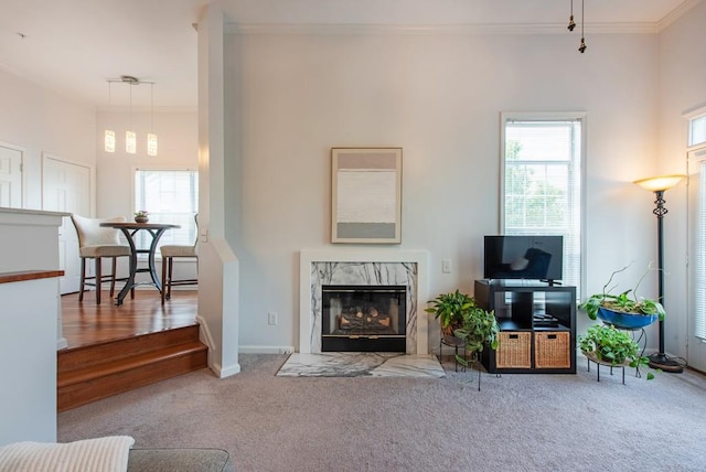 living room featuring carpet flooring, crown molding, baseboards, and a fireplace