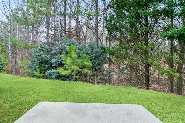 184 Darbys Crossing Ct, Hiram, GA 30141 - view of grassy yard with a patio and a view of trees