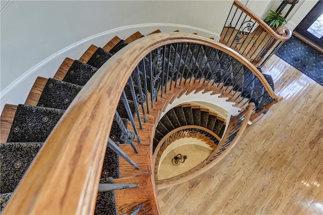 staircase with wood finished floors