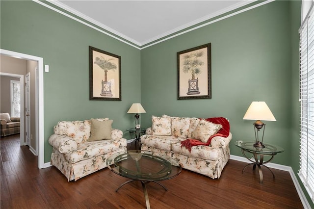 living room with crown molding, a wealth of natural light, and hardwood / wood-style flooring