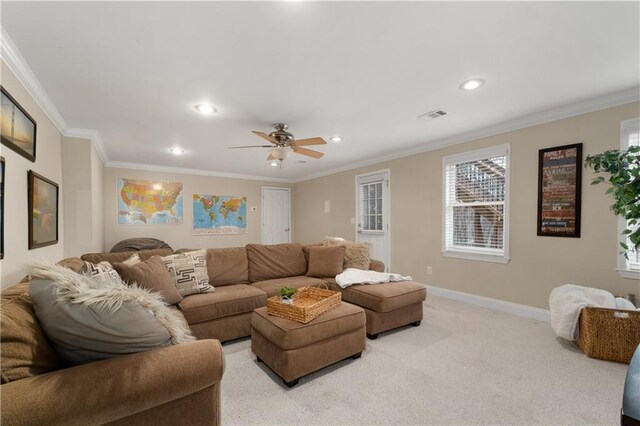 carpeted bedroom with multiple windows, crown molding, and a raised ceiling