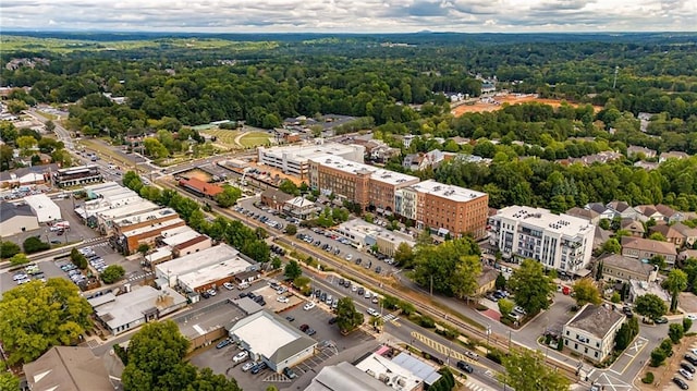 drone / aerial view