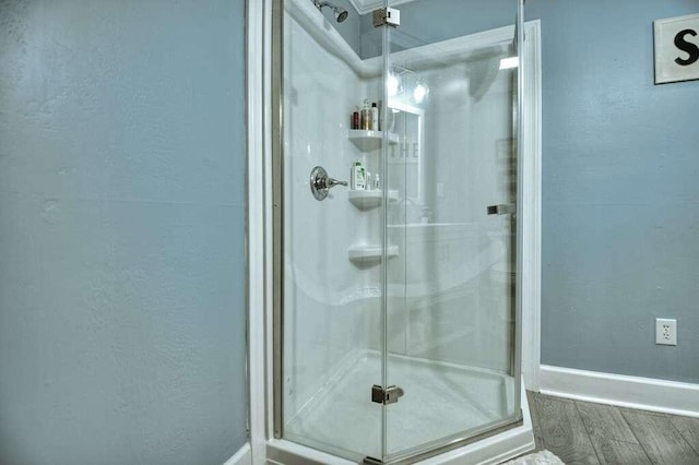 bathroom with walk in shower and hardwood / wood-style floors