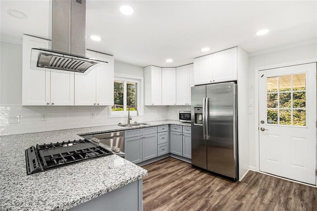 kitchen with dark wood-type flooring, island range hood, appliances with stainless steel finishes, and a sink