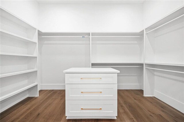 5175 Cascade Rd, Atlanta, GA 30331 - walk in closet featuring dark wood-type flooring
