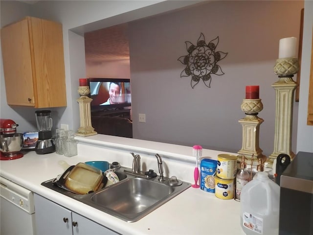 kitchen with sink and dishwasher