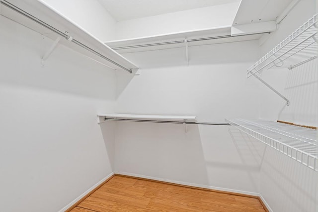 spacious closet with hardwood / wood-style flooring