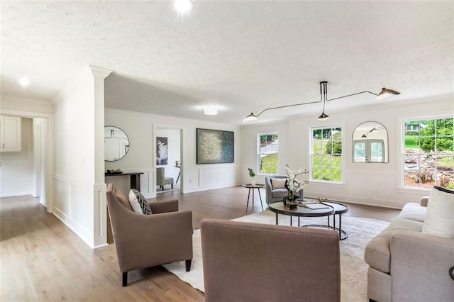 2015 Clipper Straits, Snellville, GA 30078 - living area featuring a decorative wall, wood finished floors, a textured ceiling, and wainscoting