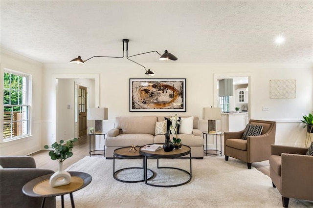 2015 Clipper Straits, Snellville, GA 30078 - living area with a textured ceiling and crown molding
