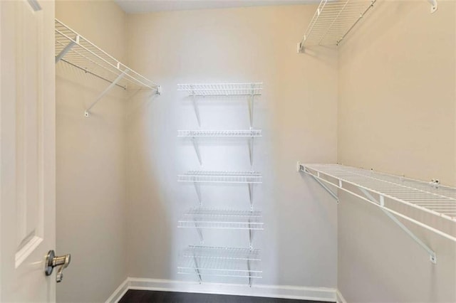 view of walk in closet