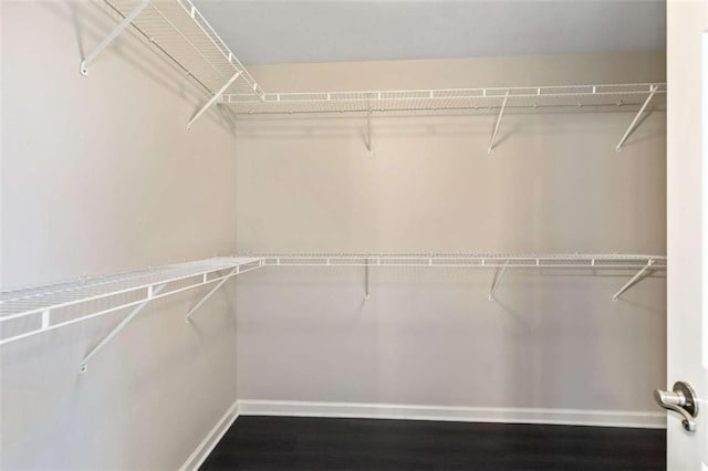 spacious closet with dark wood-style flooring