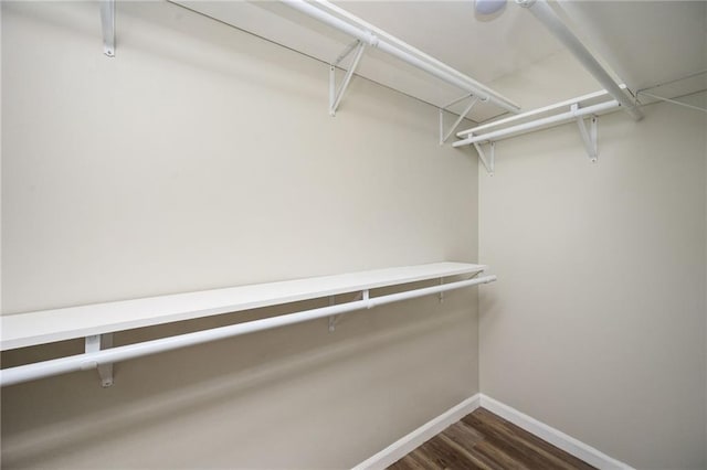 spacious closet with wood finished floors