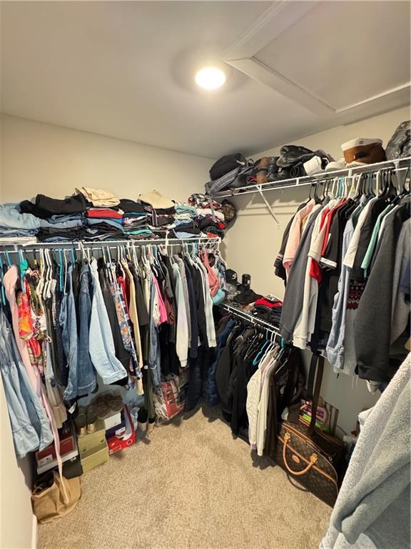 walk in closet featuring carpet floors