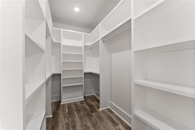 walk in closet with dark wood-style flooring