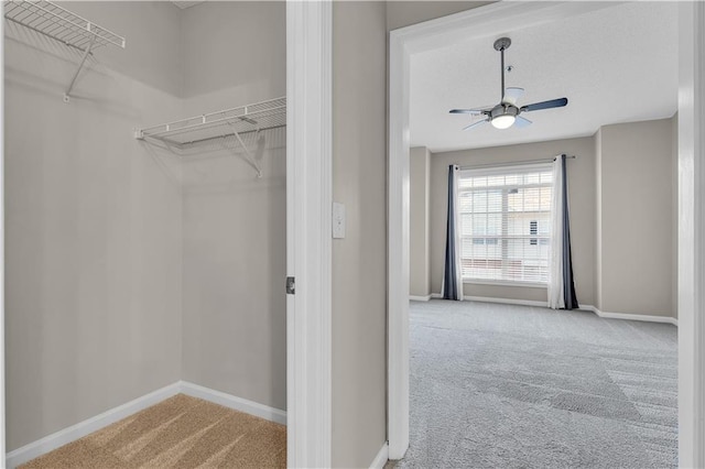 spacious closet with ceiling fan and light colored carpet