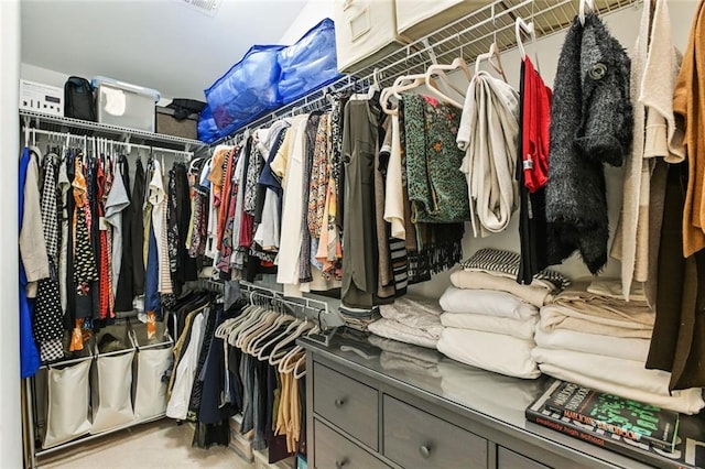 view of spacious closet