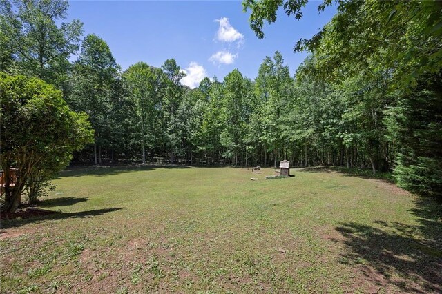 view of green lawn with a forest view