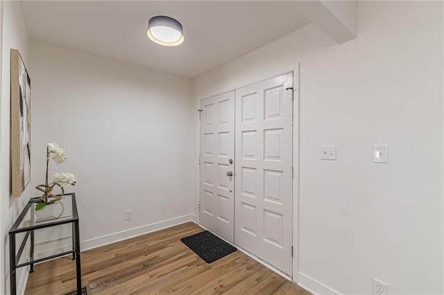 foyer entrance with wood-type flooring