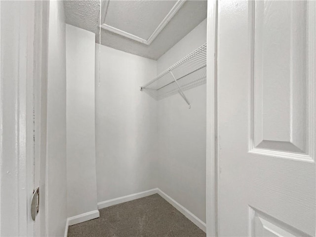 spacious closet with carpet