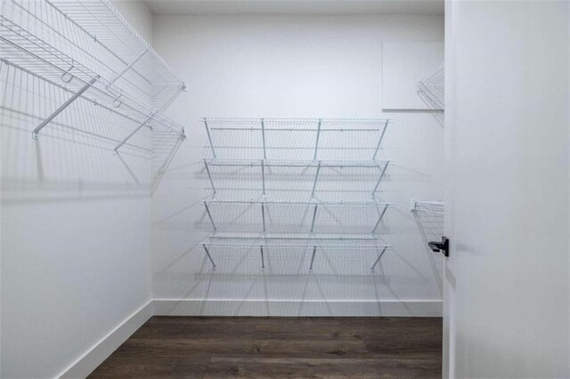 walk in closet with dark hardwood / wood-style flooring