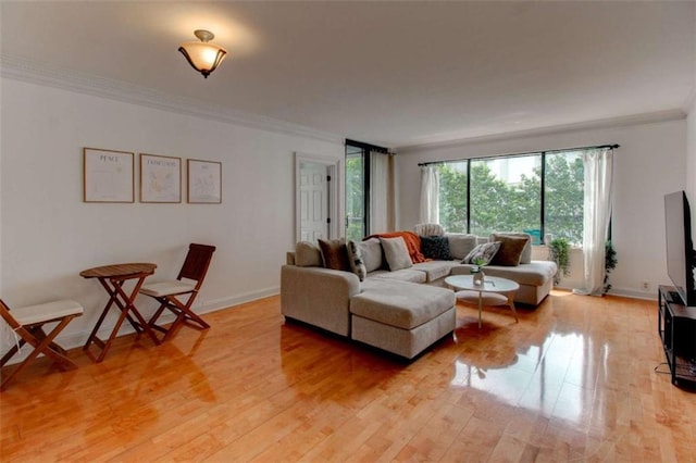 3481 Lakeside Dr NE Unit 902, Atlanta, GA 30326 - living room with crown molding and light wood-style flooring