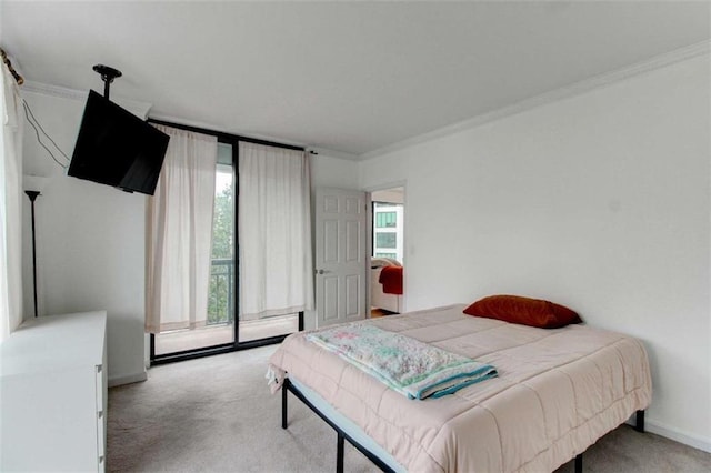3481 Lakeside Dr NE Unit 902, Atlanta, GA 30326 - bedroom with light carpet and ornamental molding