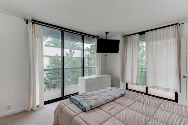3481 Lakeside Dr NE Unit 902, Atlanta, GA 30326 - bedroom featuring carpet flooring and access to exterior