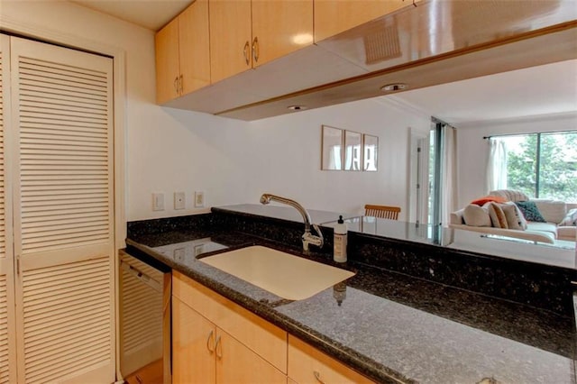 3481 Lakeside Dr NE Unit 902, Atlanta, GA 30326 - kitchen with dishwasher, light brown cabinets, dark stone countertops, and open floor plan