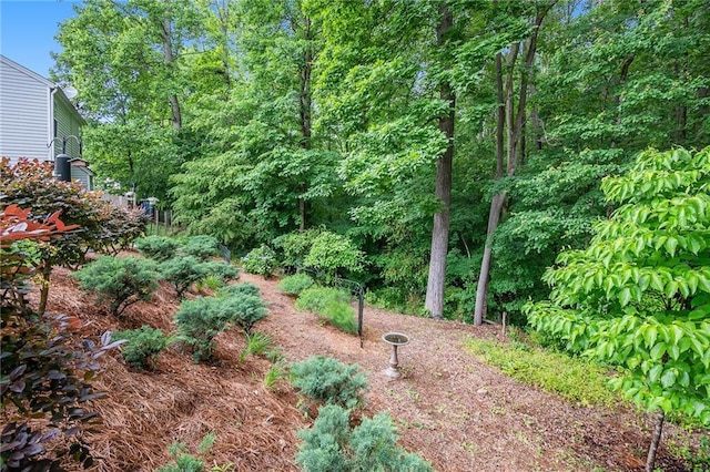 624 Spanish Oak Dr, Acworth, GA 30102 - view of yard