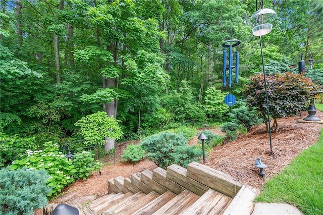 624 Spanish Oak Dr, Acworth, GA 30102 - view of yard