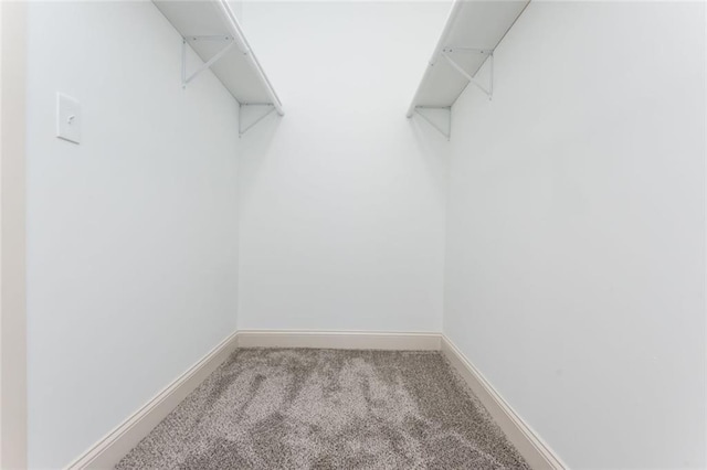 262 Stephens Rd, Cedartown, GA 30125 - walk in closet with carpet