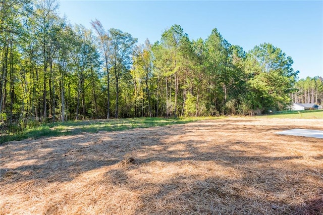 262 Stephens Rd, Cedartown, GA 30125 - view of yard with a view of trees