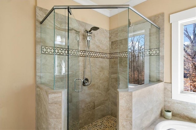 bathroom with plenty of natural light and independent shower and bath