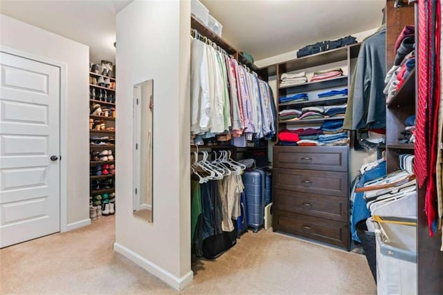 spacious closet featuring light carpet