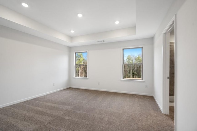 unfurnished room featuring carpet floors and a tray ceiling