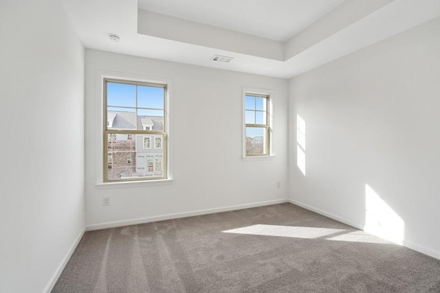 carpeted empty room with a healthy amount of sunlight and a tray ceiling