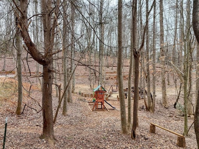 view of jungle gym