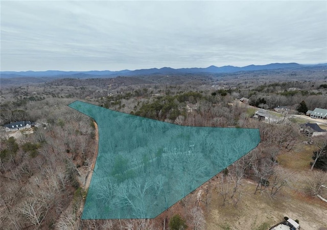 aerial view with a mountain view