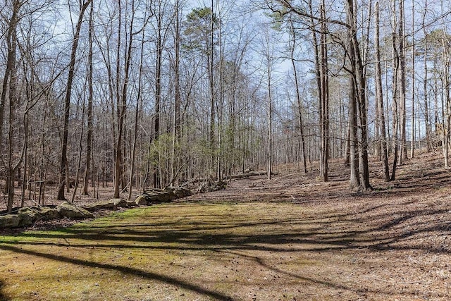 view of local wilderness with a view of trees