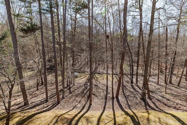 view of local wilderness with a forest view