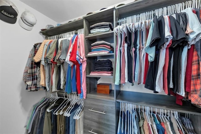 70 Maplewood Ln, Acworth, GA 30101 - walk in closet with wood finished floors