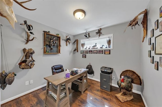 70 Maplewood Ln, Acworth, GA 30101 - office area featuring baseboards and wood finished floors
