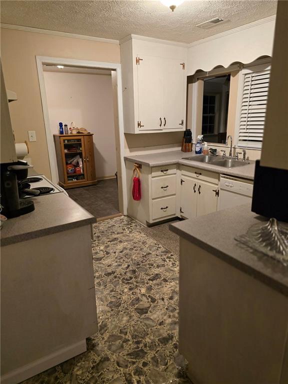 kitchen featuring white cabinetry, dishwasher, sink, and a textured ceiling