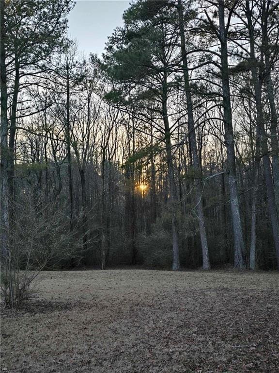 view of yard at dusk